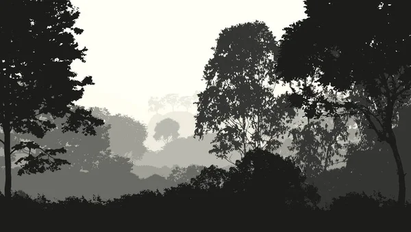 Abstrato Cenário Silhueta Com Árvores Floresta Nebulosas — Fotografia de Stock