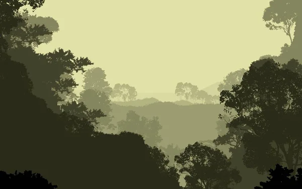 Abstraktní Silueta Pozadí Mlžnými Lesními Stromy — Stock fotografie