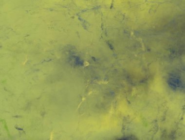 Renkli mermer desenli soyut arkaplan