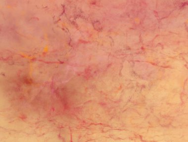 metin için alan ile renkli mermer doku ile soyut arka plan