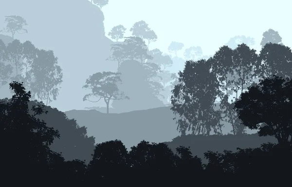 Abstract Silhouetted Banner Misty Woodland — Stock Photo, Image