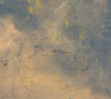 metin için alan ile renkli mermer doku ile soyut arka plan