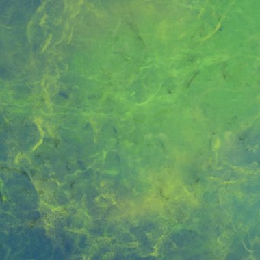 metin için alan ile renkli mermer doku ile soyut arka plan