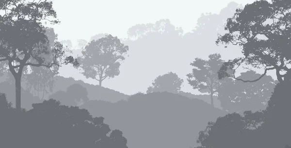 Abstrakcyjny Krajobraz Gór Mglistych Lasów — Zdjęcie stockowe
