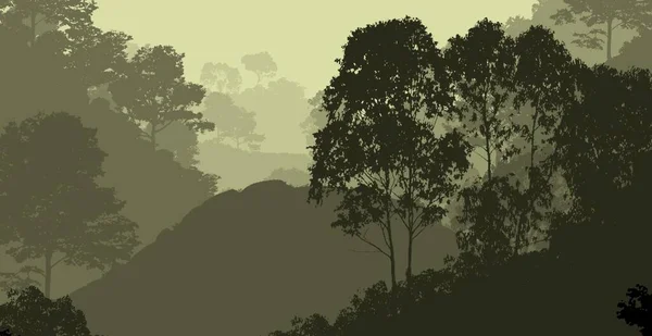 Ködös Hegyek Erdők Absztrakt Tája — Stock Fotó