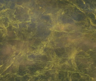 metin için alan ile renkli mermer doku ile soyut arka plan