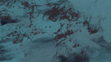 Metin için yeri olan boya lekeleriyle soyut arkaplan