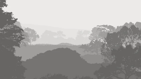 Sylwetki Górach Mglistych Drzew Leśnych — Zdjęcie stockowe