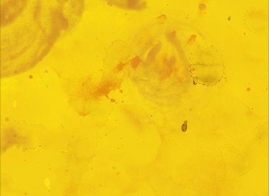 suluboya elemanları ile soyut grunge zemin