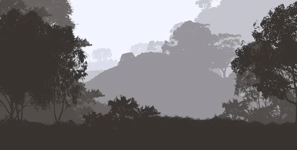 Αφηρημένες Σιλουέτες Και Δέντρα Στην Ομίχλη — Φωτογραφία Αρχείου