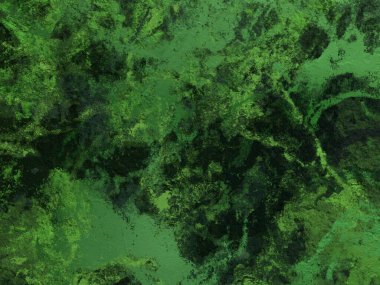 metin veya resim alanı olan Grunge arka plan