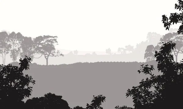 抽象山与薄雾的林地树木剪影 — 图库照片