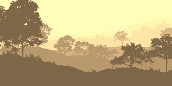 Абстрактные Лесные Силуэты Тумане — стоковое фото