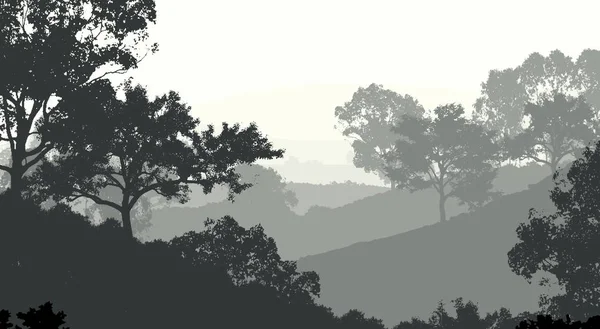 Абстрактные Лесные Силуэты Тумане — стоковое фото