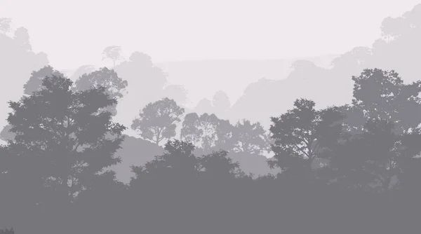 Abstract Woodland Trees Silhouettes Haze — Stock Photo, Image