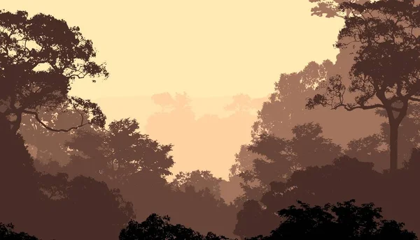 Siluetas Abstractas Árboles Del Bosque Neblina — Foto de Stock
