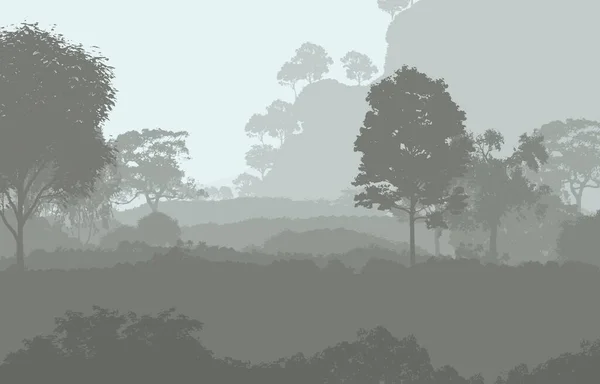 Abstract Woodland Trees Silhouettes Haze — Stock Photo, Image