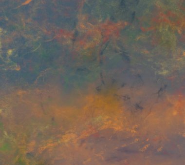 metin için alanı olan grunge arkaplanı