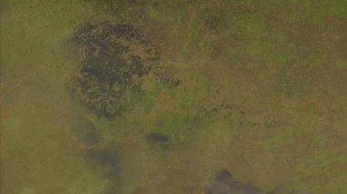 metin için alanı olan grunge arkaplanı