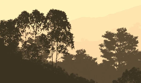 Resumo Silhuetas Arborizadas Neblina — Fotografia de Stock