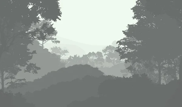 抽象林地树木剪影在阴霾 — 图库照片