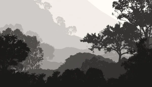 Abstract Woodland Landscape Hazy Trees Silhouettes — Stock Photo, Image