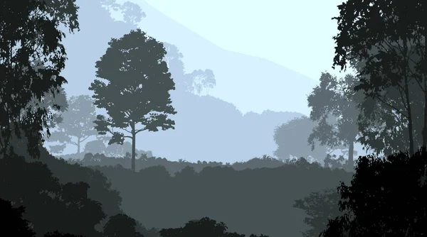Resumo Paisagem Florestal Com Árvores Nebulosas Silhuetas — Fotografia de Stock