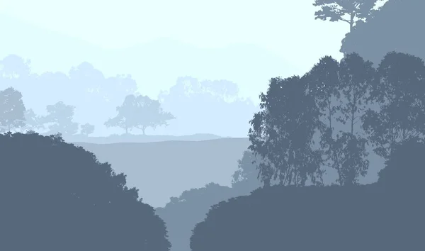 Abstraktní Zalesněná Krajina Mlhavou Větví — Stock fotografie