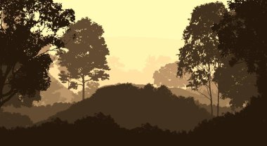 soyut tepe orman manzarası sisli ağaçlar fotokopi alanı, doğal arkaplan