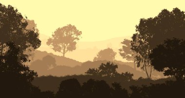 soyut tepe orman manzarası sisli ağaçlar fotokopi alanı, doğal arkaplan