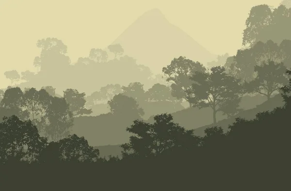 Abstract Heuvelachtig Boslandschap Met Mistige Bomen Met Kopieerruimte Natuurlijke Achtergrond — Stockfoto