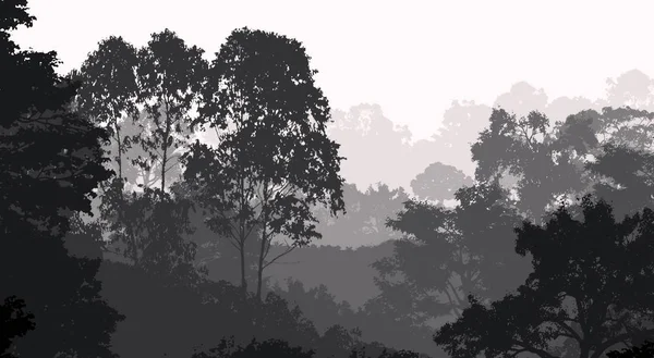 带雾状树木的抽象山地森林景观 有复制空间 自然背景 — 图库照片