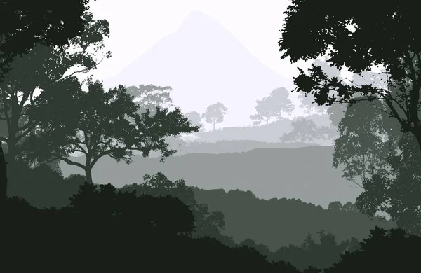 Naturalne Abstrakcyjne Tło Mgliste Lasy Góry — Zdjęcie stockowe
