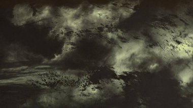 metin için alanı olan grunge arkaplanı