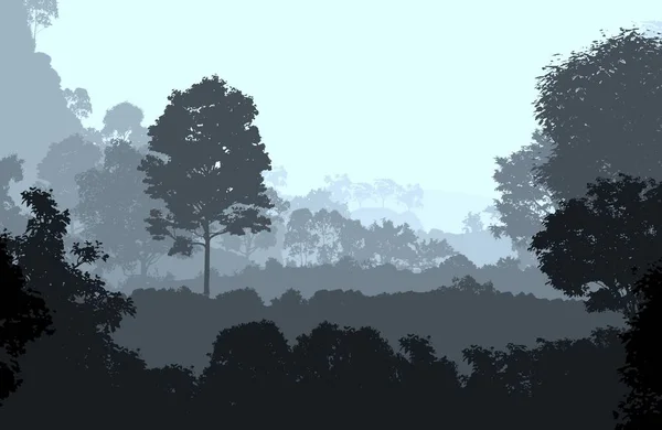 霧の森と山々の自然の抽象的な背景 — ストック写真