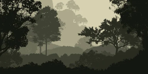 霧の多い森林と山々を持つ自然の抽象的な背景 — ストック写真