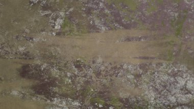 Metnin için alanı olan soyut grunge arkaplanı