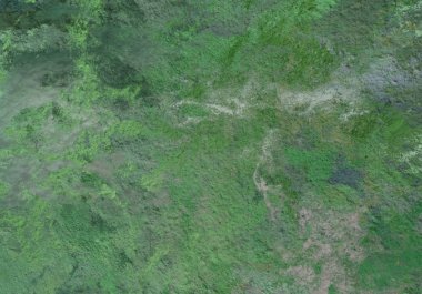 metin için alanı olan grunge doku arkaplanı