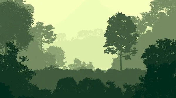 Abstract Background Trees Haze — Stock Photo, Image