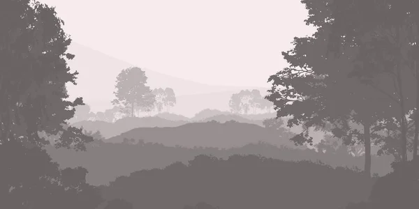 Абстрактный Творческий Фон Лесными Деревьями Тумане — стоковое фото