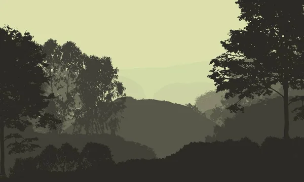 ヘイズの森の木と抽象的な創造的な背景 — ストック写真