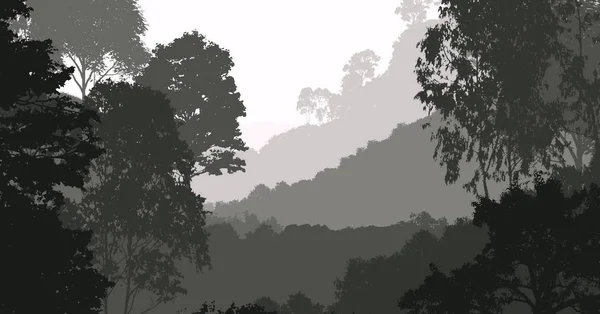 Resumo Fundo Criativo Com Árvores Florestais Neblina — Fotografia de Stock