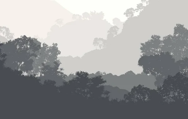 Abstraktní Tvůrčí Pozadí Lesními Stromy Mlze — Stock fotografie