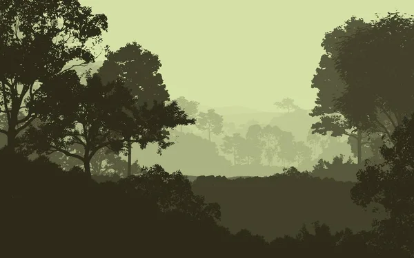 Fondo Creativo Abstracto Con Árboles Forestales Niebla —  Fotos de Stock