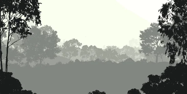 Abstrakte Kreative Kulisse Mit Waldbäumen Nebel — Stockfoto