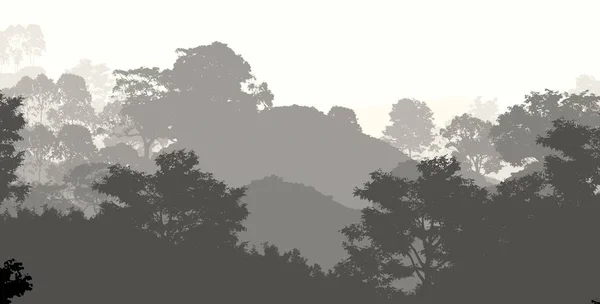 Αφηρημένο Δημιουργικό Σκηνικό Δασικά Δέντρα Στην Ομίχλη — Φωτογραφία Αρχείου