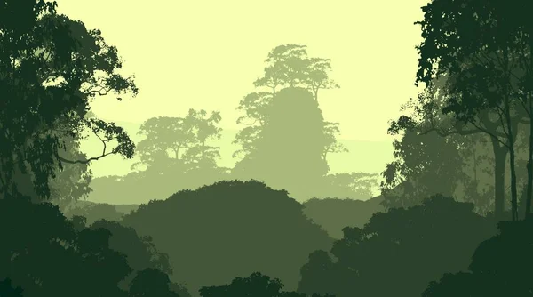 抽象创意背景与森林树在雾 — 图库照片