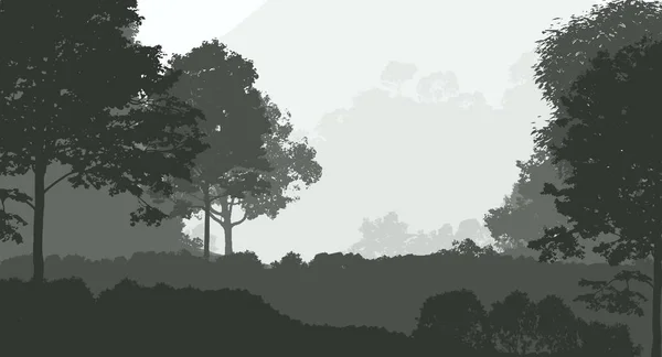 Αφηρημένο Δημιουργικό Σκηνικό Δασικά Δέντρα Στην Ομίχλη — Φωτογραφία Αρχείου