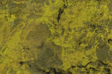 taş arkaplan dokusu