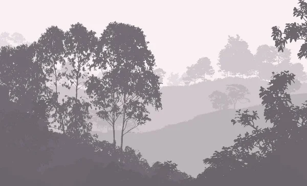 抽象的な曇った森林の木 テクスチャの背景 — ストック写真